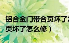 铝合金门带合页坏了怎么修视频（铝合金门合页坏了怎么修）