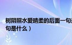 树阴照水爱晴柔的后面一句是什么（树阴照水爱晴柔的上一句是什么）