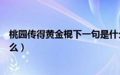 桃园传得黄金棍下一句是什么（桃园传得黄金棍下一句是什么）