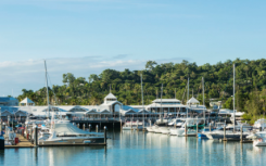 为什么州际买家在这个热带旅游小镇定居