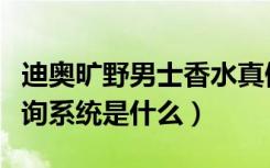 迪奥旷野男士香水真假辨别（迪奥香水真假查询系统是什么）