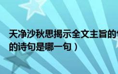 天净沙秋思揭示全文主旨的句子（《天净沙秋思》点明主旨的诗句是哪一句）