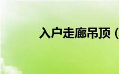 入户走廊吊顶（回型走廊吊顶）