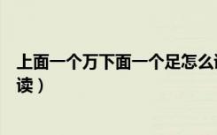 上面一个万下面一个足怎么读（上面一个万下面一个足如何读）