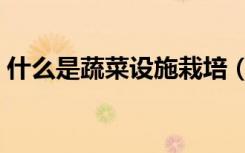 什么是蔬菜设施栽培（蔬菜设施栽培的解释）