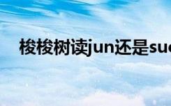 梭梭树读jun还是suo（梭梭树简单介绍）