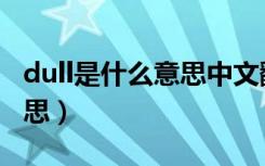 dull是什么意思中文翻译（英语dull是什么意思）