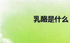 乳酪是什么（乳酪简述）