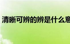 清晰可辨的辨是什么意思（清晰可辨的含义）