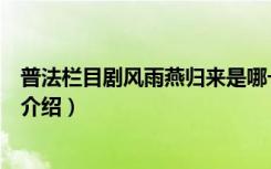 普法栏目剧风雨燕归来是哪一期（普法栏目剧风雨燕归来的介绍）