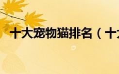 十大宠物猫排名（十大宠物猫排名有哪些）