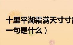 十里平湖霜满天寸寸青丝愁华年什么意思（下一句是什么）