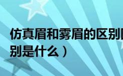 仿真眉和雾眉的区别图片（仿真眉和雾眉的区别是什么）