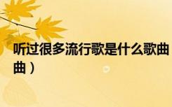 听过很多流行歌是什么歌曲（歌词听过很多流行歌是什么歌曲）