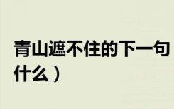 青山遮不住的下一句（青山遮不住的下一句是什么）