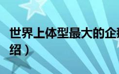 世界上体型最大的企鹅是什么（最大的企鹅介绍）