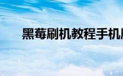 黑莓刷机教程手机版（黑莓刷机教程）