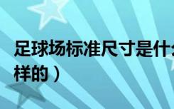足球场标准尺寸是什么（足球场标准尺寸是怎样的）