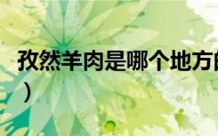孜然羊肉是哪个地方的菜（孜然羊肉是新疆菜）