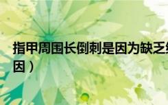 指甲周围长倒刺是因为缺乏维生素吗（指甲周围长倒刺的原因）