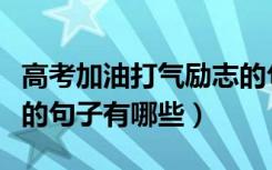 高考加油打气励志的句子（高考加油打气励志的句子有哪些）