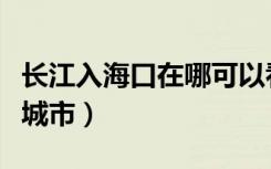 长江入海口在哪可以看到（长江入海口在哪个城市）