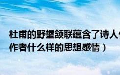 杜甫的野望颔联蕴含了诗人什么情感（杜甫《野望》表达了作者什么样的思想感情）