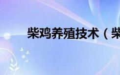 柴鸡养殖技术（柴鸡养殖技术方法）