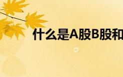 什么是A股B股和H股（了解一下）