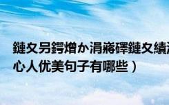 鏈夊叧鍔熷か涓嶈礋鏈夊績浜虹殑鍙ュ瓙（关于功夫不负有心人优美句子有哪些）