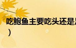 吃鲍鱼主要吃头还是足（吃鲍鱼是吃头还是足）
