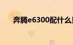 奔腾e6300配什么显卡（奔腾e6300）