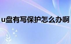 u盘有写保护怎么办啊（u盘有写保护怎么办）