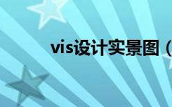 vis设计实景图（vis设计是什么）