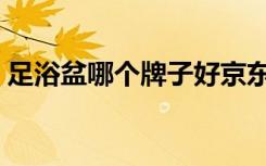 足浴盆哪个牌子好京东（足浴盆哪个牌子好）