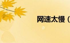 网速太慢（网速太慢）