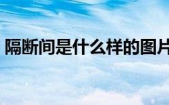 隔断间是什么样的图片（隔断间是什么东西）