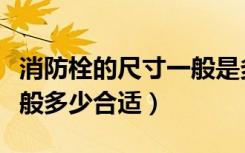消防栓的尺寸一般是多少（室内消防栓尺寸一般多少合适）