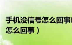 手机没信号怎么回事也上不了网（手机没信号怎么回事）
