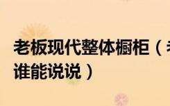 老板现代整体橱柜（老板现代整体厨房怎么样谁能说说）