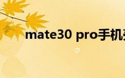mate30 pro手机壳（mate30 pro）