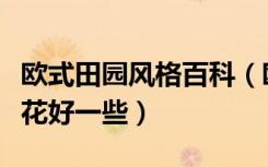 欧式田园风格百科（欧式田园风格庭院种什么花好一些）