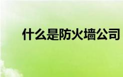 什么是防火墙公司（什么是防霉涂料）