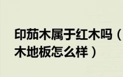 印茄木属于红木吗（茚茄木有什么特性,茚茄木地板怎么样）