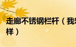 走廊不锈钢栏杆（我想了解走廊栏杆价格怎么样）