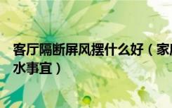 客厅隔断屏风摆什么好（家庭大厅屏风隔断应该注意哪些风水事宜）