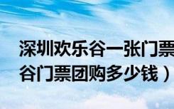 深圳欢乐谷一张门票多少钱（2018深圳欢乐谷门票团购多少钱）