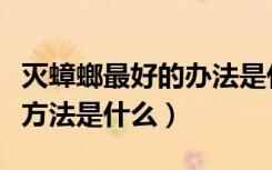 灭蟑螂最好的办法是什么（家庭灭蟑螂的最好方法是什么）