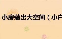 小房装出大空间（小户型装出大空间怎么弄）