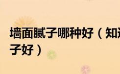 墙面腻子哪种好（知道来说说外墙腻子哪个牌子好）